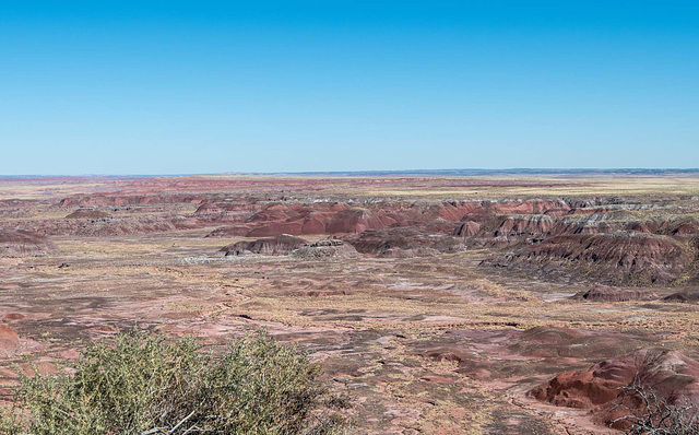 The painted desert3