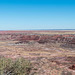 The painted desert3