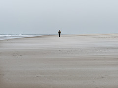 Spaziergang bei Ebbe am nördlichsten Punkt von Texel (PiP)