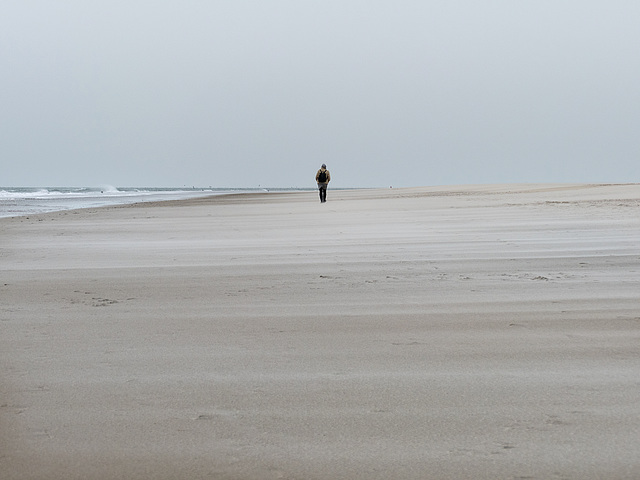 Spaziergang bei Ebbe am nördlichsten Punkt von Texel (PiP)