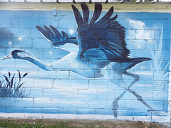 Une grue cendrée , en  plein vol , sur la fresque , à la Vicomté sur Rance (22)