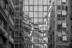 20101221-IMG 4781 20101221-IMG 4781