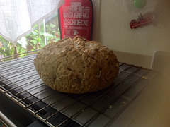 Petit pain de campagne