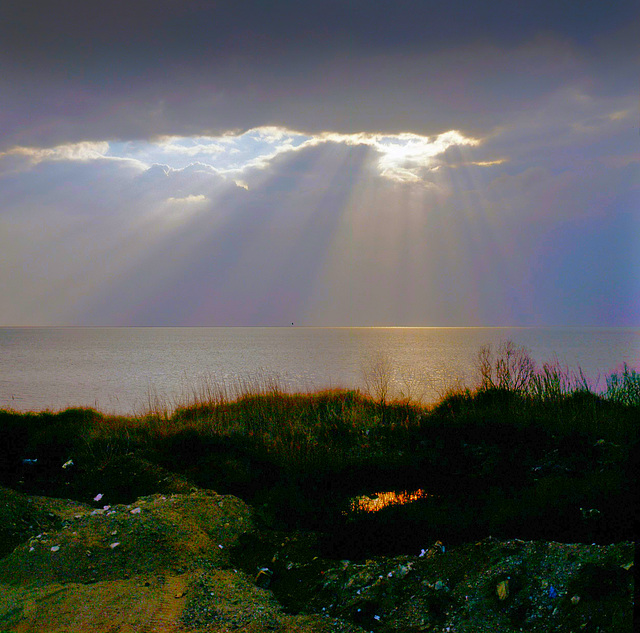 The Dead Sea in 1982