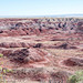 The painted desert4