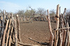 Namibia, Corral for Livestock in the Village of Onjowewe