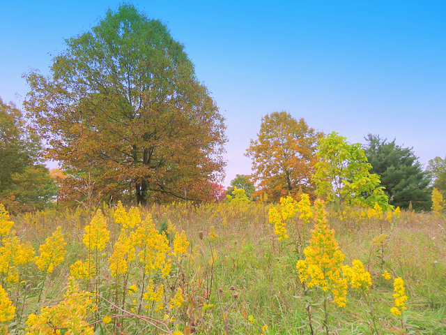 October colors