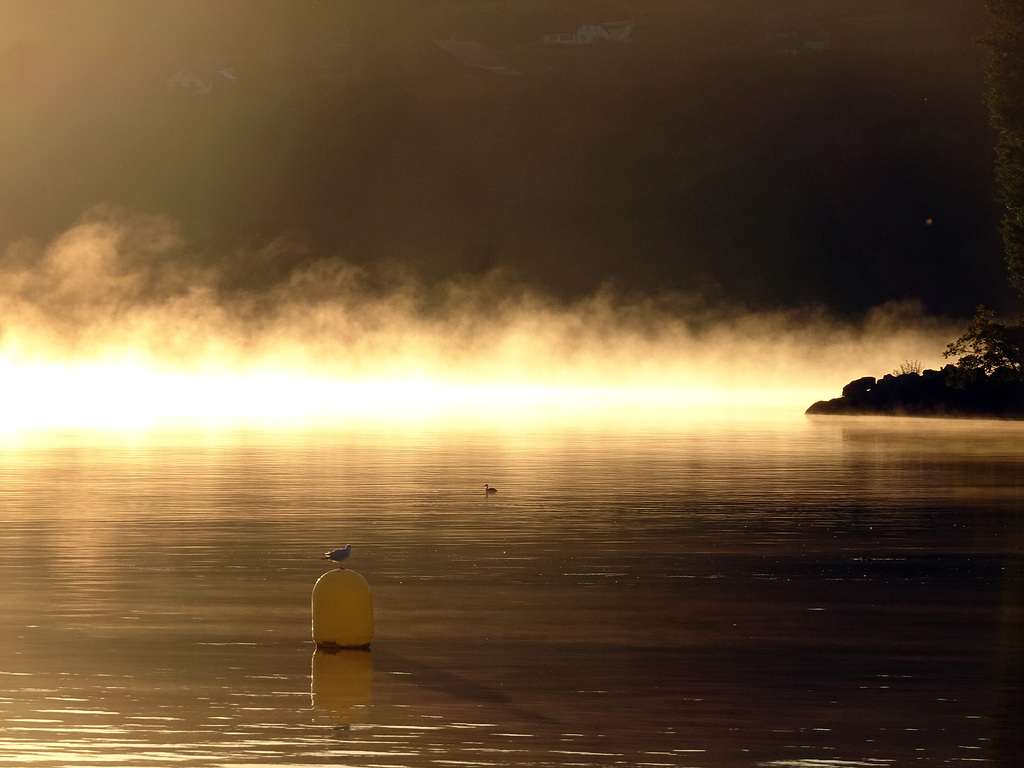 Sonnenaufgang am Neuenburgersee, 3. Bild