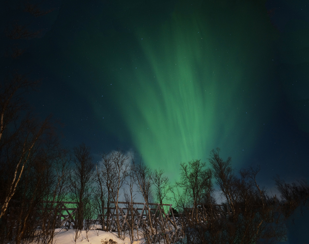 Northern Lights, Malangen Resort, HFF