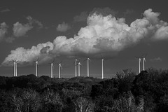 SC162 - Post 31 August - Your best image in b/w