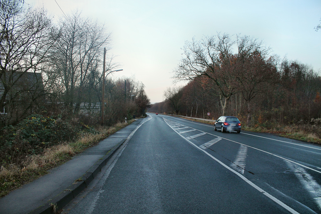 Ellinghauser Straße (Dortmund-Deusen) / 27.11.2016