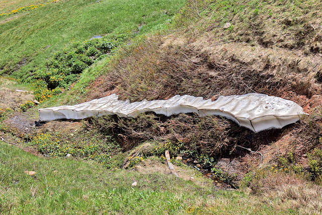 Feldberg - Emil-Thoma-Weg - Abstieg zum Feldsee (3) - Schnee im Juni am Seebach