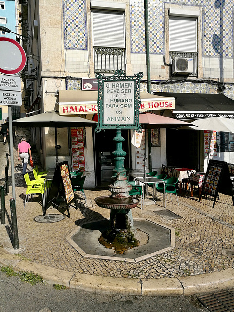 Lisbon 2018 – Fountain