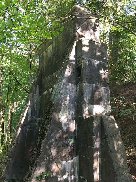 Betonbauwerk im Wald