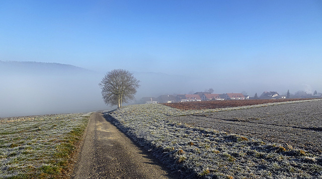 Ein Dorf taucht aus dem Nebel auf