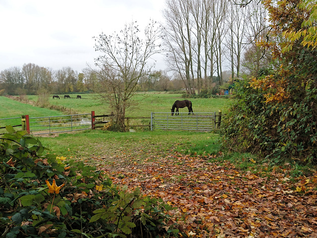 Stübenhofer Weg