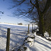 Snow field at the edge