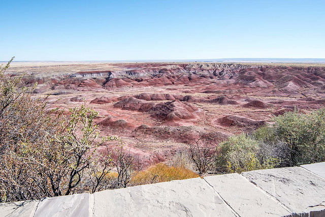 The painted desert6