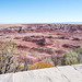 The painted desert6