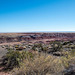 The painted desert7