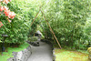 Bamboo Archway At The Butchart Gardens