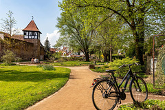 Blick in den Stadtgarten von Michelstadt