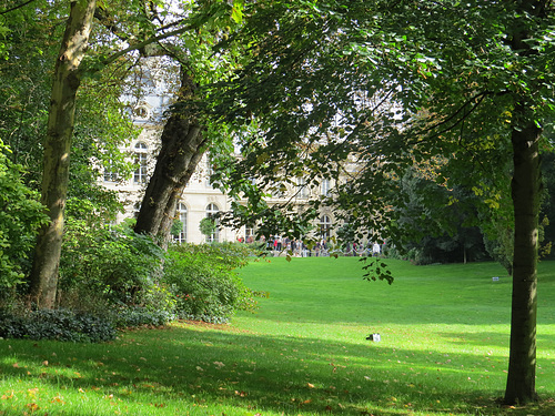 Jardin de l'Elysée, 5