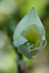 DSCF6766
