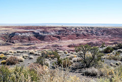 The painted desert8