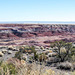 The painted desert8