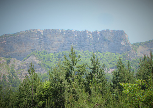 Montagne de LURE (16)