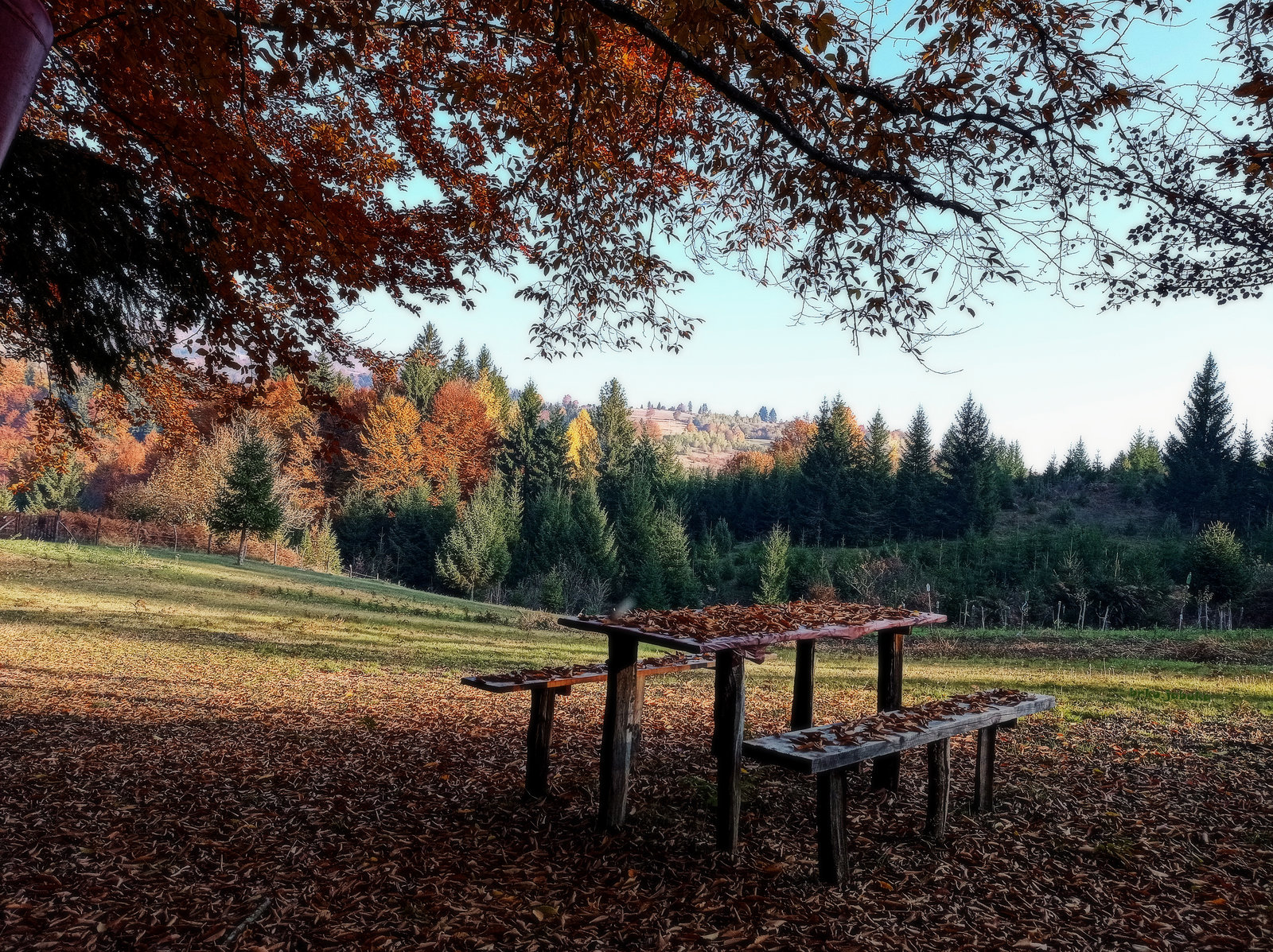 HAPPY BENCH MONDAY!