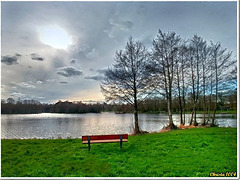 The bench by the lake - HBM