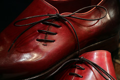 Je viens de m'offrir ces chaussures de luxe qui vont admirablement bien avec mes costumes Prince de Galles . .