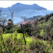 Gaucín