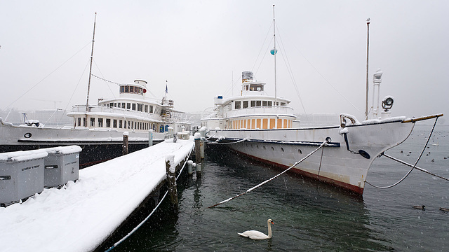 101201 Vv Geneve neige D