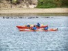 California Sea Otters