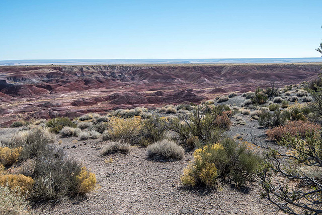 The painted desert9