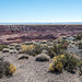 The painted desert9