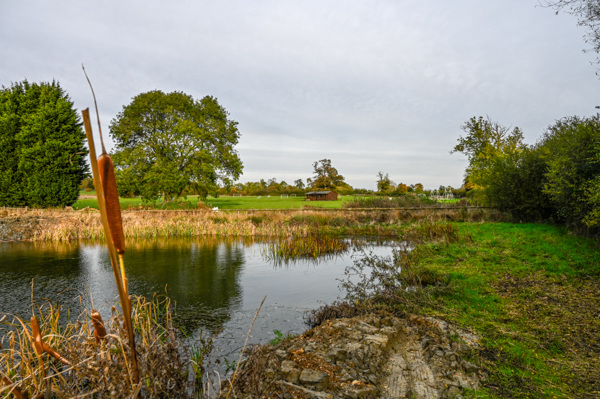 Swanbourne Pond-DSD1555