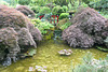 Japanese Garden At The Butchart Gardens