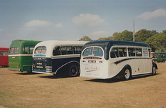 The Eastern Transport Collection Rally – 8 Sep 1991 (148-34)