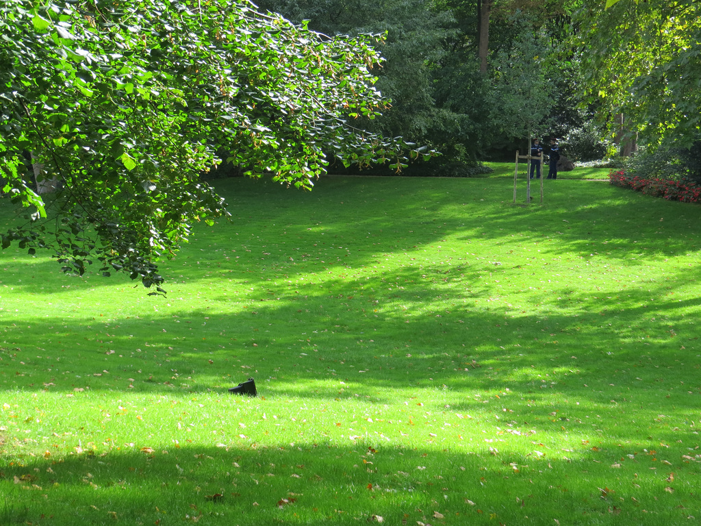 Jardin de l'Elysée, 6.