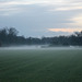 Nebel auf dem Feld bei Deusen (Dortmund) / 27.11.2016