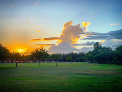 sunset - Kapiolani Park