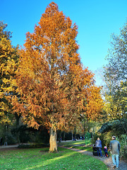 Herbst am Rantzauer See