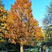 Herbst am Rantzauer See