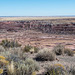 The painted desert10