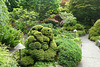 Japanese Garden At The Butchart Gardens