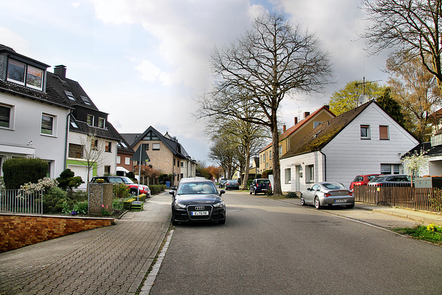 Brausewindhang (Essen-Schönebeck) / 2.04.2022